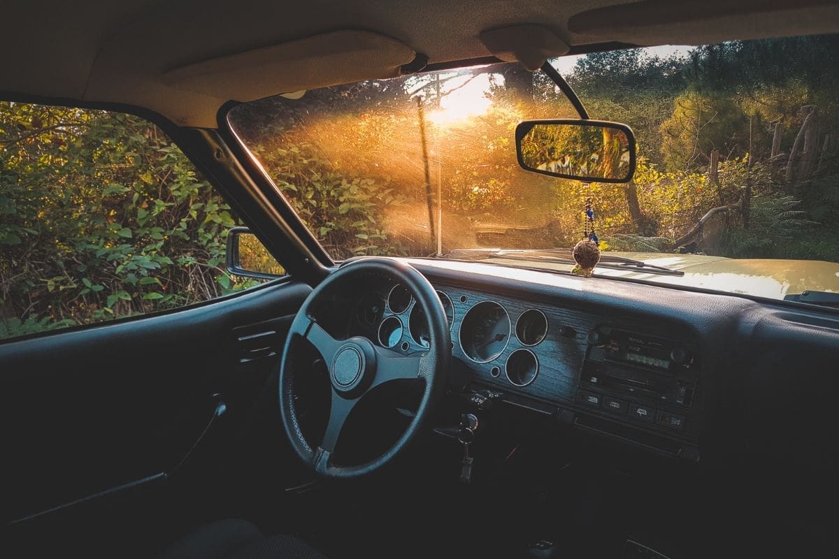Driving (14)